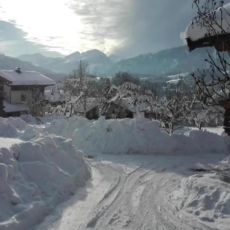 Apartment In With Garden Leutasch