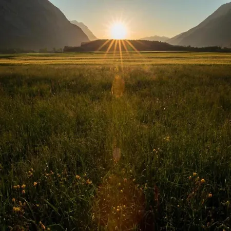Apartment In With Garden *