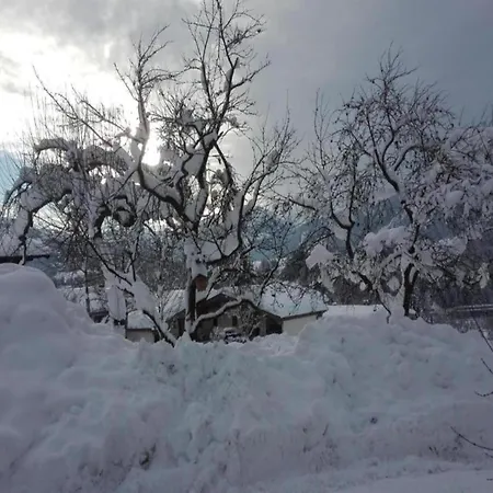 Apartment In With Garden Leutasch